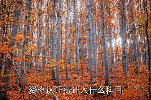 認證服務(wù)費什么，申請微信公眾賬號認證服務(wù)費什么意思