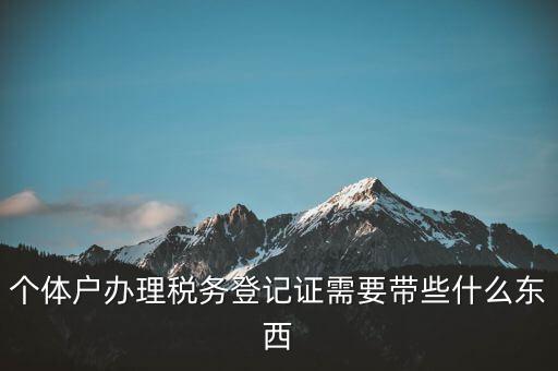 個(gè)體稅務(wù)登記證需要什么材料，個(gè)體戶辦理稅務(wù)登記證需要帶些什么東西