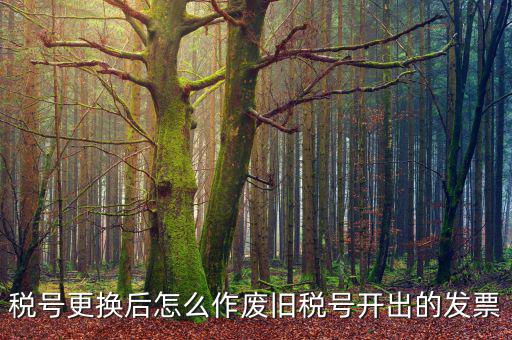 變稅號需要做什么，稅號更換后怎么作廢舊稅號開出的發(fā)票