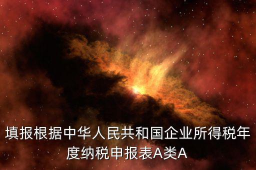 填報根據中華人民共和國企業(yè)所得稅年度納稅申報表A類A