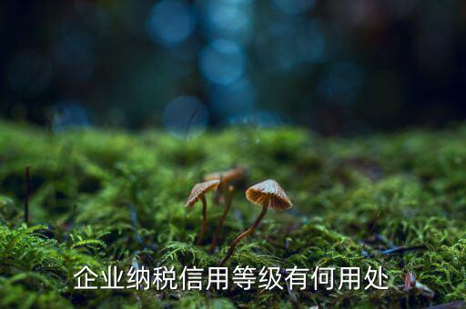 納稅等級有什么用，請問什么是分級別納稅信用單位怎么得到這種稱號得到了又有啥好