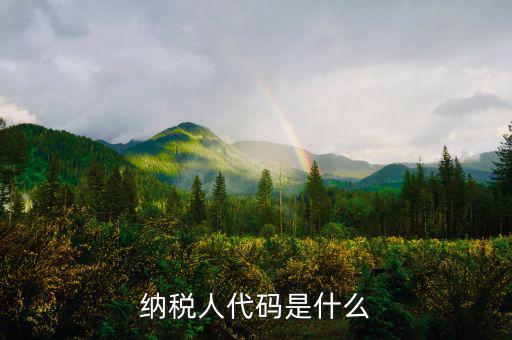 個(gè)人納稅人代碼是什么，納稅人代碼是什么