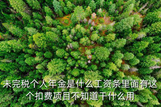 未完稅個人年金是什么工資條里面有這個扣費(fèi)項(xiàng)目不知道干什么用