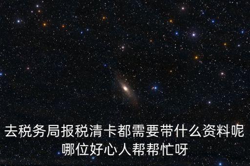 打稅務(wù)清單需要帶什么，我是個(gè)體商戶營業(yè)執(zhí)照掉了想去打印一份稅務(wù)清單需要帶些什么
