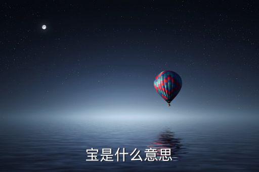薪稅寶是什么意思，寶是什么意思
