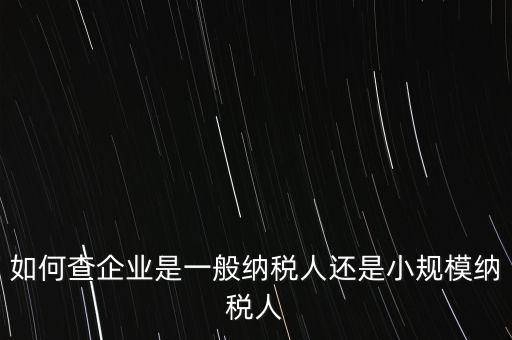 查詢公司什么納稅人，如何查企業(yè)是一般納稅人還是小規(guī)模納稅人