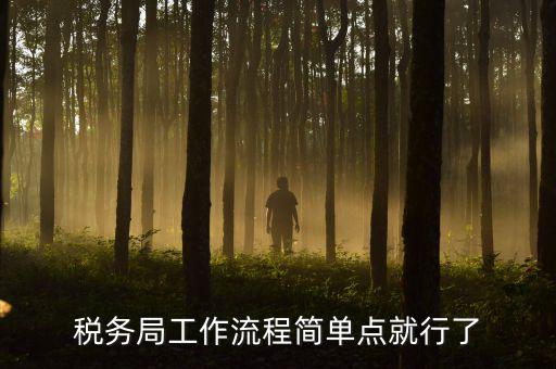 稅務(wù)局上班要什么手續(xù)，稅務(wù)局工作流程簡(jiǎn)單點(diǎn)就行了