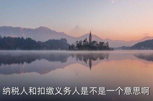 稅務人是什么，什么是納稅義務人
