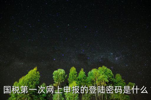 國稅登陸名和密碼是什么，國稅第一次網(wǎng)上申報的登陸密碼是什么