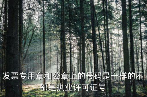 公章和發(fā)票章號碼是什么，發(fā)票專用章和公章上的號碼是一樣的不都是執(zhí)業(yè)許可證號
