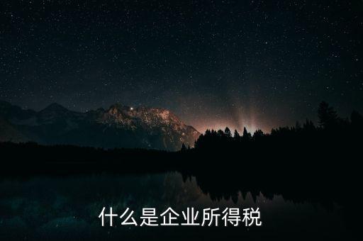企業(yè)所得稅是什么，所得稅是什么