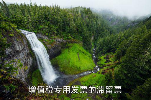 滯留票核查工作是干什么的，稅務(wù)局會(huì)查到期未抵扣的滯留增值稅專用發(fā)票嗎用來查帳外帳