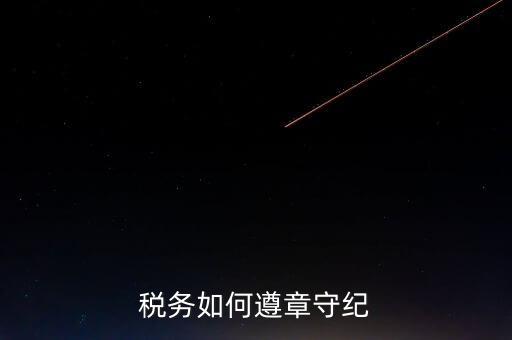 稅務(wù)守紀(jì)律是什么意思，呵呵 什么叫做守紀(jì)律