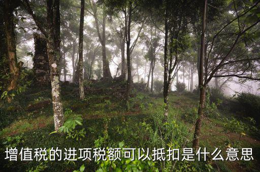 進項抵扣是什么，增值稅的進項稅額可以抵扣是什么意思