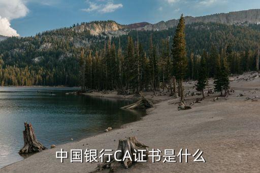 ca證書驅(qū)動是什么，頤信CA的驅(qū)動在哪里下載