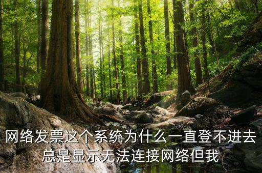 網(wǎng)絡(luò)發(fā)票 登錄密碼是什么情況，樂(lè)稅社區(qū)稅友咨詢(xún)問(wèn)題增值稅發(fā)票查詢(xún)平臺(tái)登錄密碼是什么
