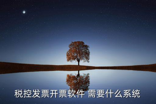 稅務(wù)開票系統(tǒng)都有什么，什么是開票系統(tǒng)小規(guī)模納稅人有裝開票系統(tǒng)嗎在線等謝謝