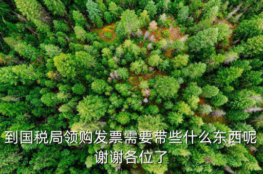 到國(guó)稅局領(lǐng)購發(fā)票需要帶些什么東西呢謝謝各位了
