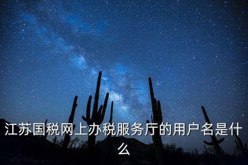 江蘇國稅用戶名密碼是什么，江蘇國稅網(wǎng)上辦稅服務廳的用戶名是什么