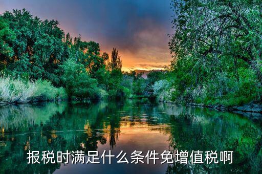 什么情況免征增值稅，哪些屬于免征增值稅