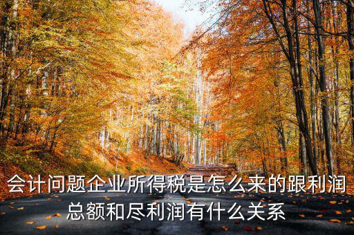 企業(yè)所得稅和什么有關(guān)，增值稅和企業(yè)所得稅有關(guān)系么