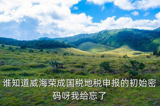 山東默認(rèn)國稅密碼是什么，登錄國稅網(wǎng)上辦稅服務(wù)廳的用戶名和密碼是什么