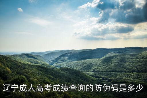 遼寧成人高考成績(jī)查詢(xún)的防偽碼是多少