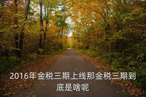 什么叫金稅三期，2016年金稅三期上線那金稅三期到底是啥呢