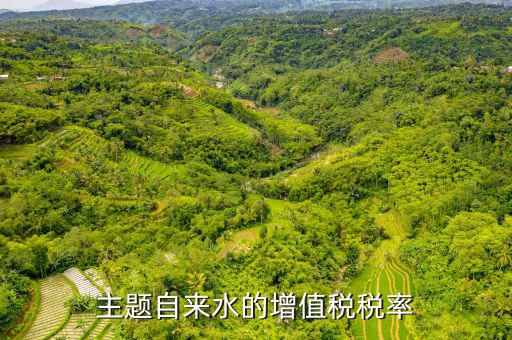 自來(lái)水稅率為什么是3，水費(fèi)稅率是不是要調(diào)劑為3
