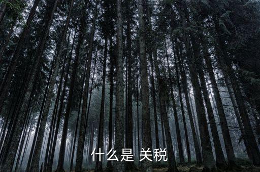 什么是國境關(guān)稅，關(guān)稅是什么
