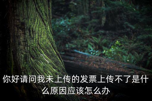 發(fā)票沒上傳什么意思，發(fā)票系統(tǒng)顯示O張未上傳發(fā)票可是在查不到提示查無此票怎么回