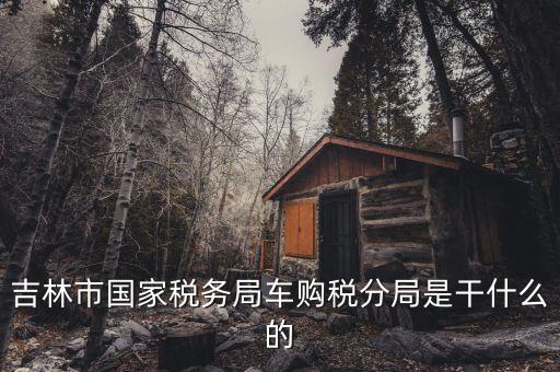 車購稅局主要干什么，新車去地稅局干什么