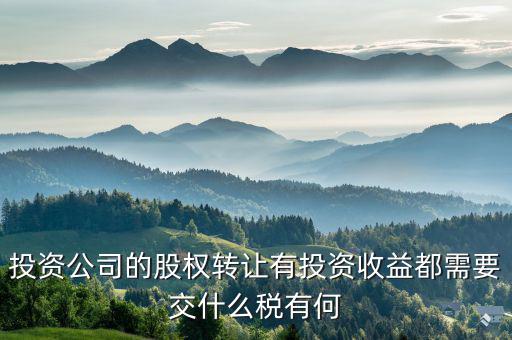 投資公司都要納什么稅，外商投資企業(yè)以設(shè)備投資需要交什么稅