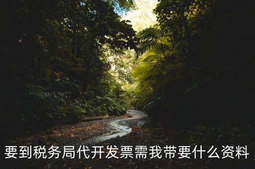 去稅務(wù)局開票需要帶什么資料，去稅務(wù)局開票的話需要帶什么材料呢