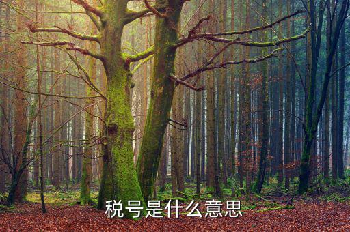 電子發(fā)票稅號是什么，開發(fā)票的門頭和稅號指的是什么意思