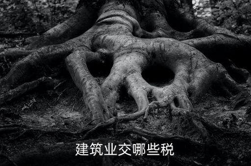 建筑設(shè)計交什么稅，建筑設(shè)計企業(yè)所得稅應(yīng)該交什么稅呀怎么抵扣