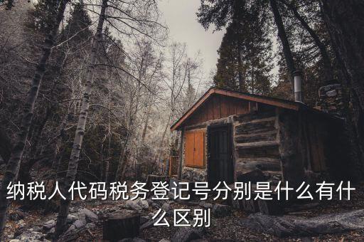 關注成都稅務號是什么意思，納稅人代碼稅務登記號分別是什么有什么區(qū)別