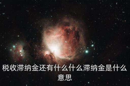 地稅滯納金是什么意思，稅收滯納金還有什么什么滯納金是什么意思