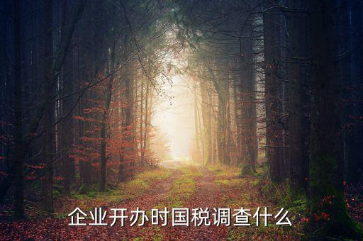 國(guó)稅稅收調(diào)查調(diào)查什么，國(guó)稅三稅調(diào)查是指哪三稅