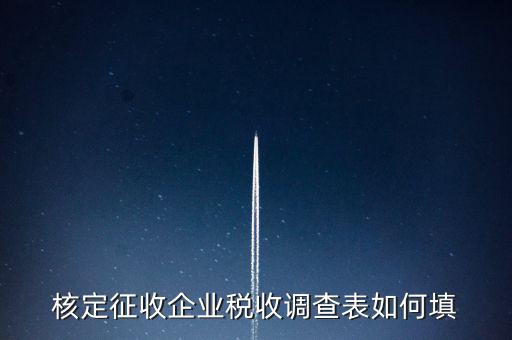 什么企業(yè)填稅收調(diào)查表，核定征收企業(yè)稅收調(diào)查表如何填