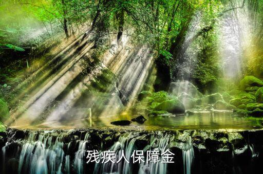 殘疾人保證金是什么，殘疾人保障金
