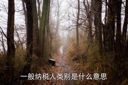 納稅人類別填什么，一般納稅人類別是什么意思