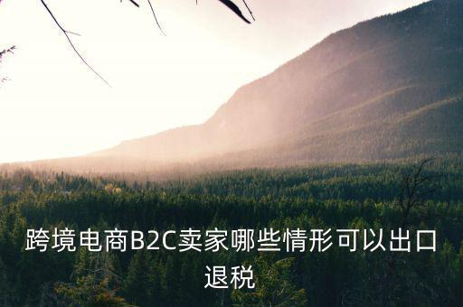 什么情況下要退稅，跨境電商B2C賣家哪些情形可以出口退稅