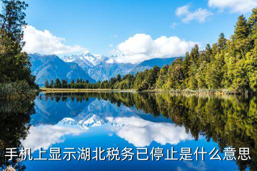 國稅業(yè)務(wù)停用什么意思，手機(jī)上顯示湖北稅務(wù)已停止是什么意思