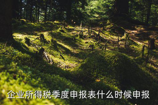 季度稅是在什么時候報，年度季度企業(yè)所得稅申報時間