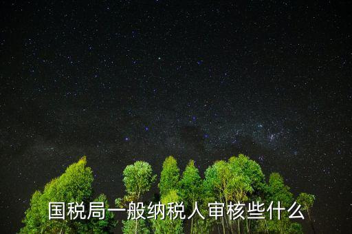 國稅審查企業(yè)些什么，國稅局一般納稅人審核些什么