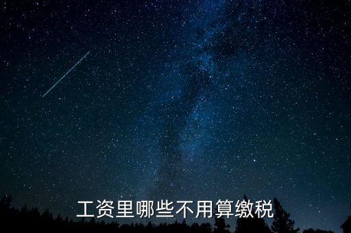 什么所得不用上稅，哪些類型的工資薪金所得不用納稅