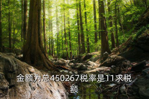 11 是什么稅率，招標(biāo)文件稅率為人工費(fèi)11是什么意思