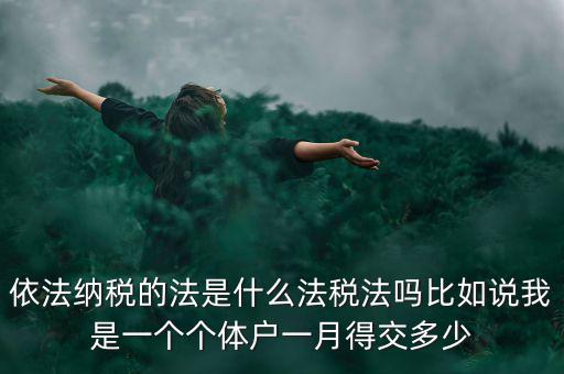 什么是依法納稅人，依法納稅的法是什么法稅法嗎比如說我是一個個體戶一月得交多少