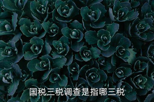 全國稅收調(diào)查是什么，全國稅收調(diào)查表中審核公式IFXXBB8 1 XXBB8 4